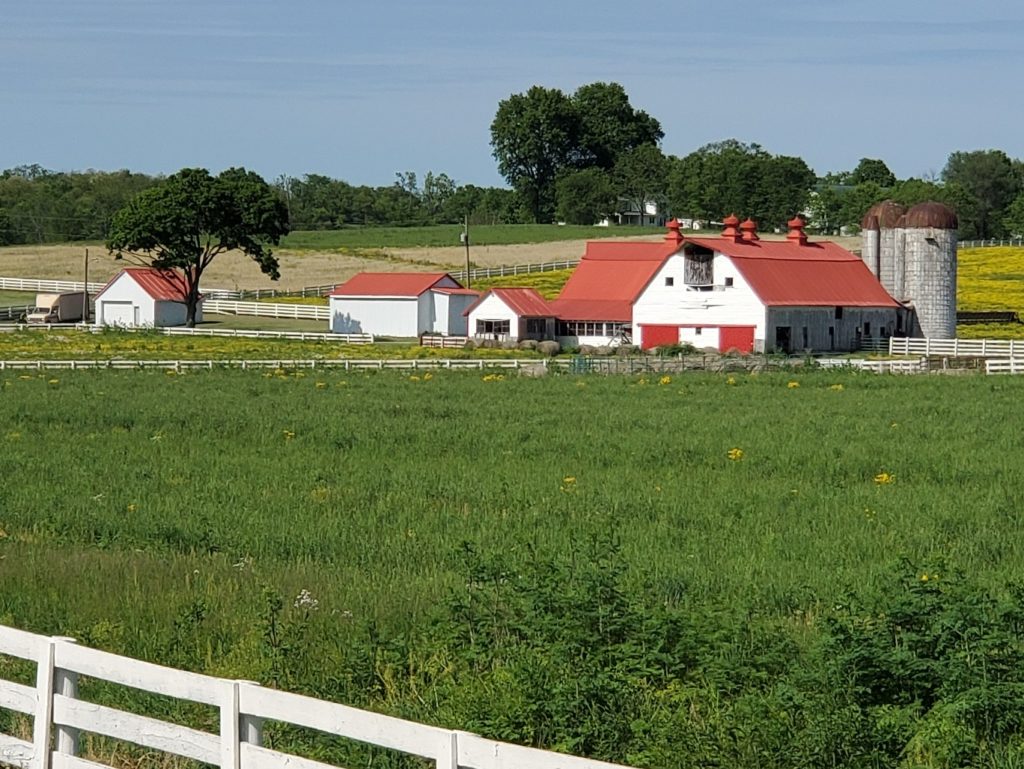 photo of farm with white barn and red roofs in fleming county kentucky